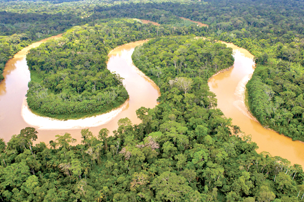 Peru creates huge national park in Amazon basin | Daily News