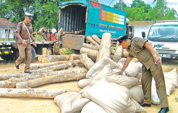 Teak logs haul | Daily News