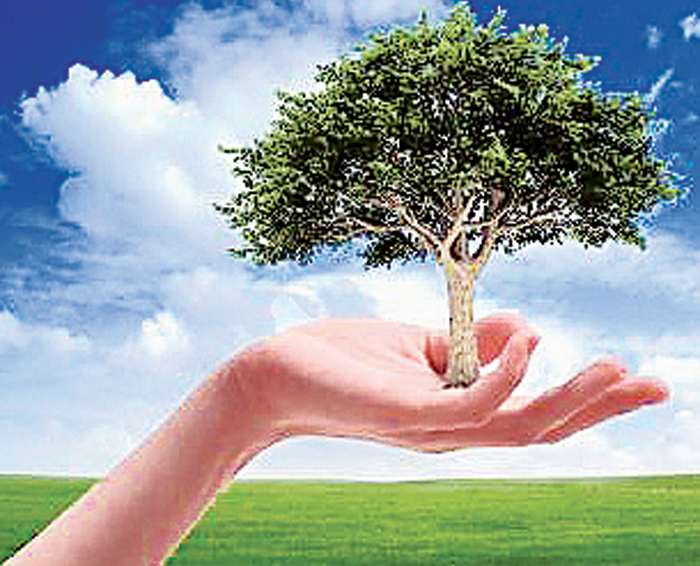 World Environment Day -‘Connecting People To Nature’ | Daily News