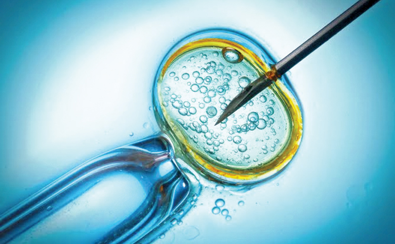 Subfertility, IUI, And In Vitro Fertilization (IVF) | Daily News