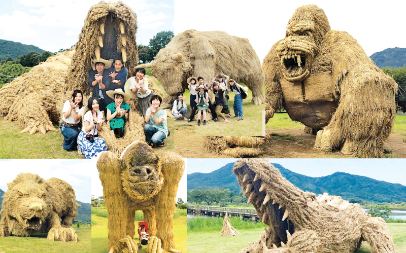 Giant Straw Dinosaurs Invade Japanese Fields After Rice Harvest