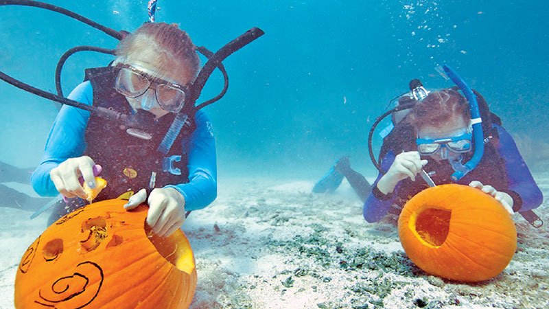 Scuba Divers Compete In Underwater Pumpkin Carving | Daily News