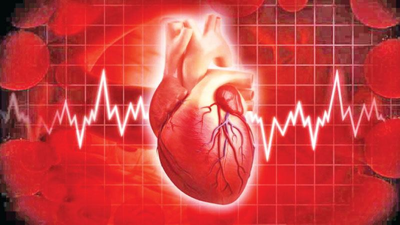 Use Heart to Beat Cardiovascular Disease | Daily News