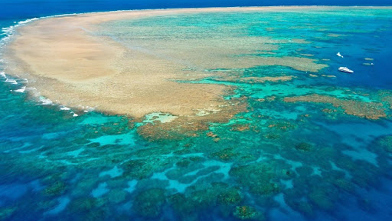 Great Barrier Reef In Danger - UNESCO | Daily News