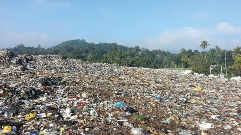 Sri Lanka generates 7,000 tonnes of solid waste per day - FAO | Daily News