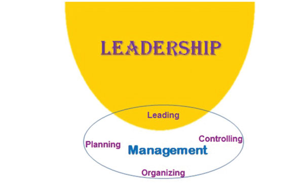 Why Leadership Planning and Organizing is HOT