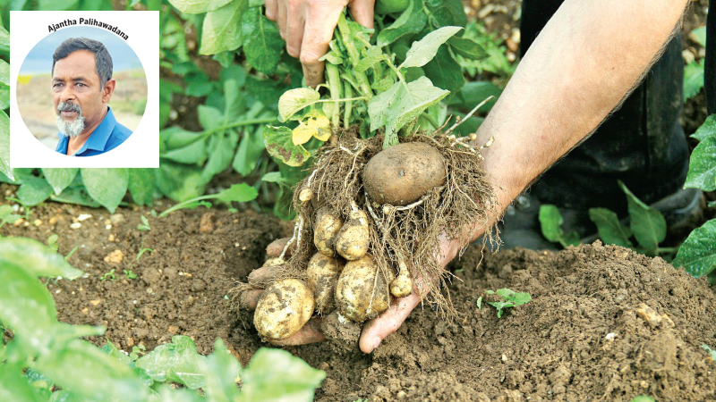 Organic farming. Source  – Soil Association