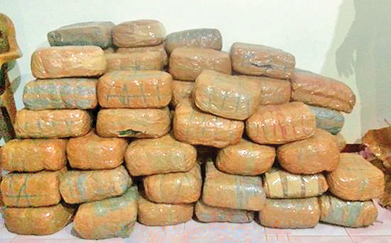 Some of the packages of Kerala cannabis seized by the Navy. 