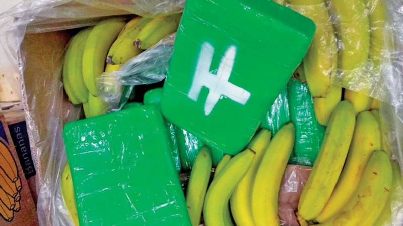 Cocaine parcels found inside one of the banana crates.