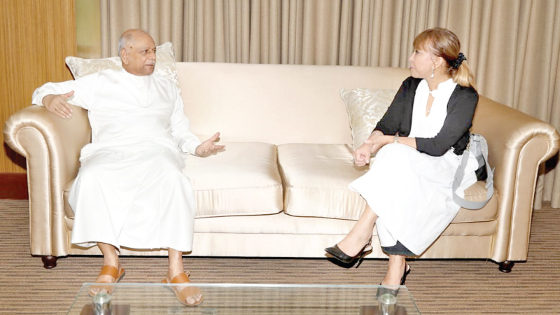 Public Administration, Home Affairs, Provincial Councils and Local Government Minister and Leader of the House of Parliament Dinesh Gunawardena meeting UN Resident Coordinator in Srilanka Hanaa Singer.
