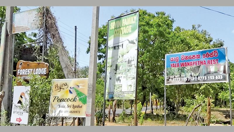 Sign boards of the guesthouses which have been built on the sacred land. 