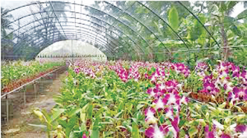 49 8 Bn Global Floriculture Market