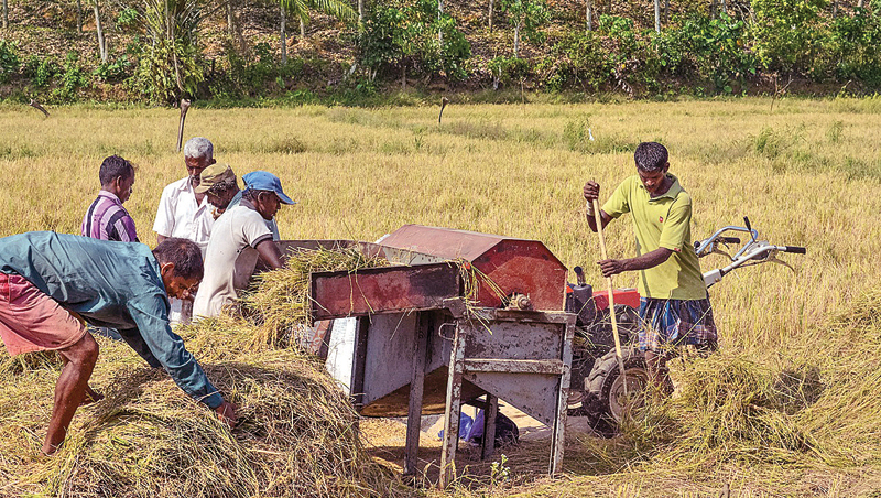 Farmers play a major role in the country’s food production drive.
