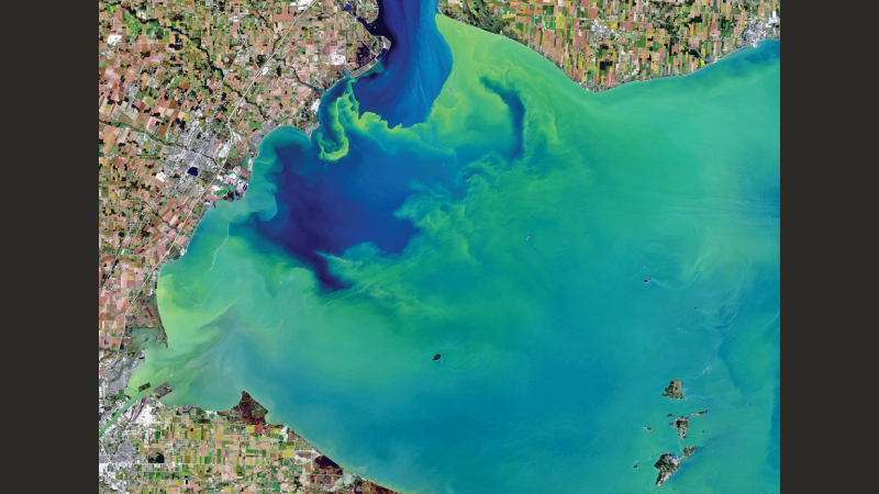 An algal bloom swirls in the western basin of Lake Erie, in September 2017.  Photo courtesy of USGS/NASA