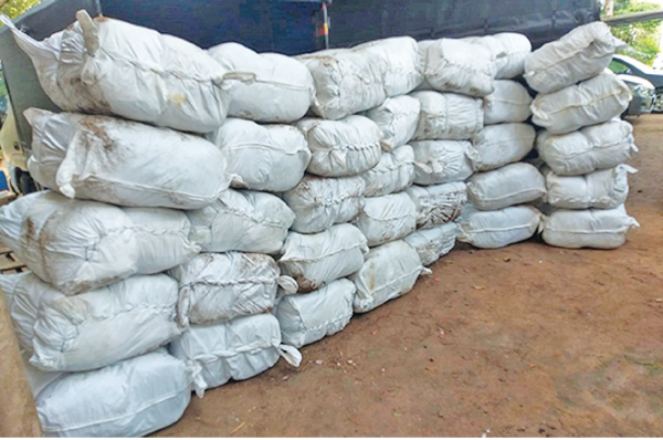 The sacks of Kendu leaves seized by the Navy.