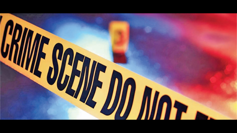 Criminal Profiling and Forensic Psychology | Daily News