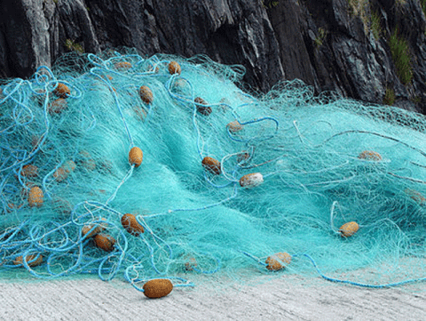 Buy Fishing Nets Online at Best Price in Sri Lanka 