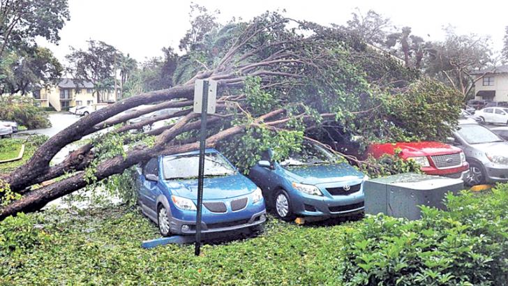 ‘devastation In Florida Keys As Irma Weakens Daily News 4123