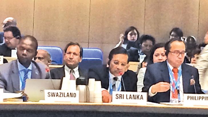 The 142nd Session of the Executive Board of the WHO in progress.