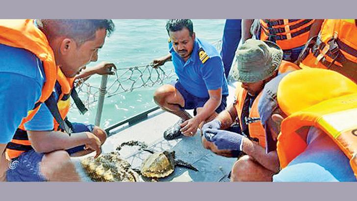 The rescued-Olive Ridley turtle has been released to the Ocean.