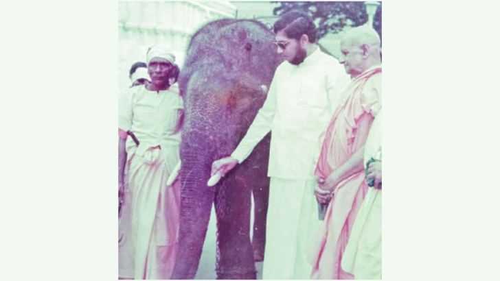 The elephant Thai Raja being offered to the Dalada Maligawa.
